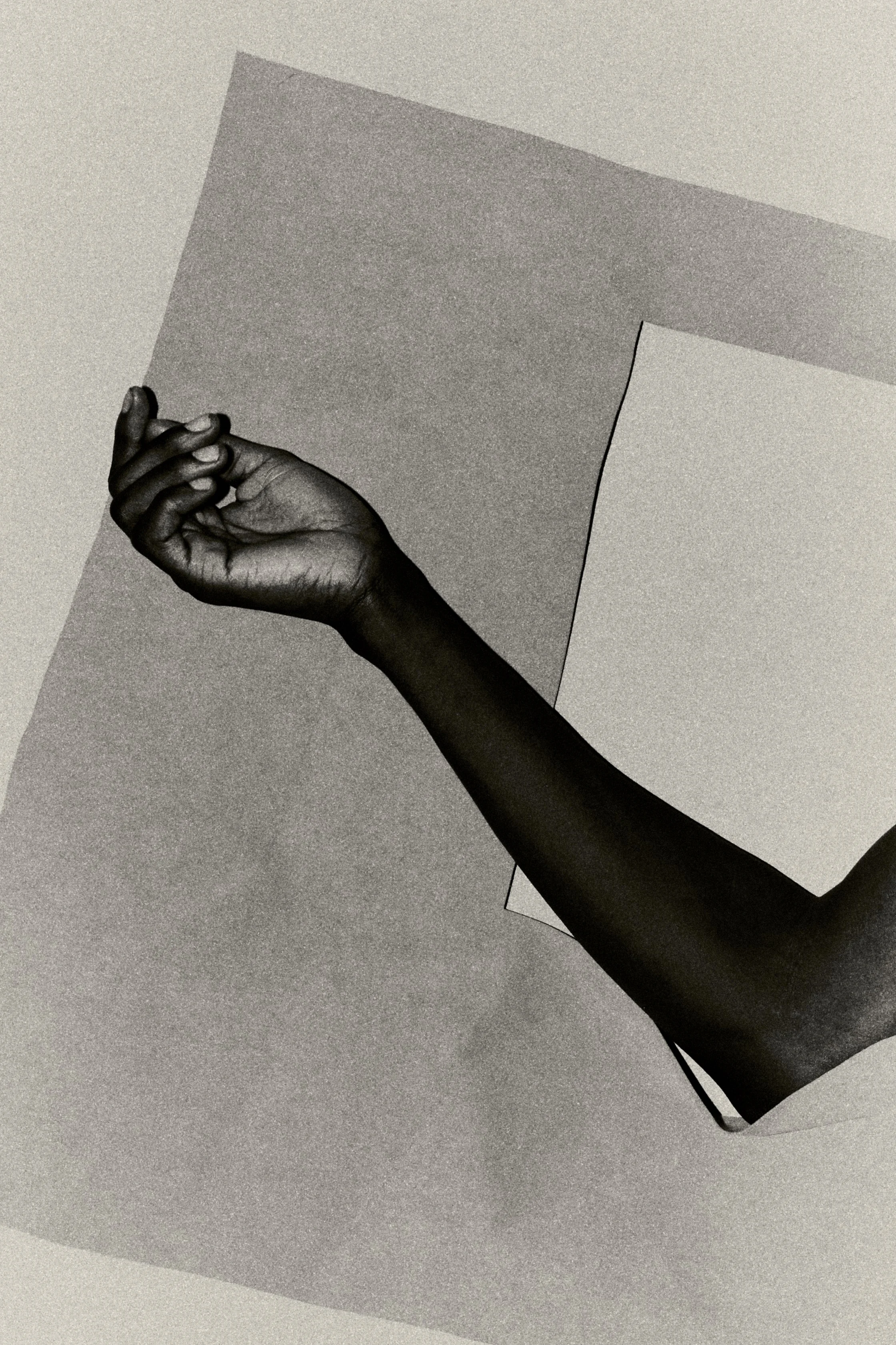 MONO - HA — VESTAL